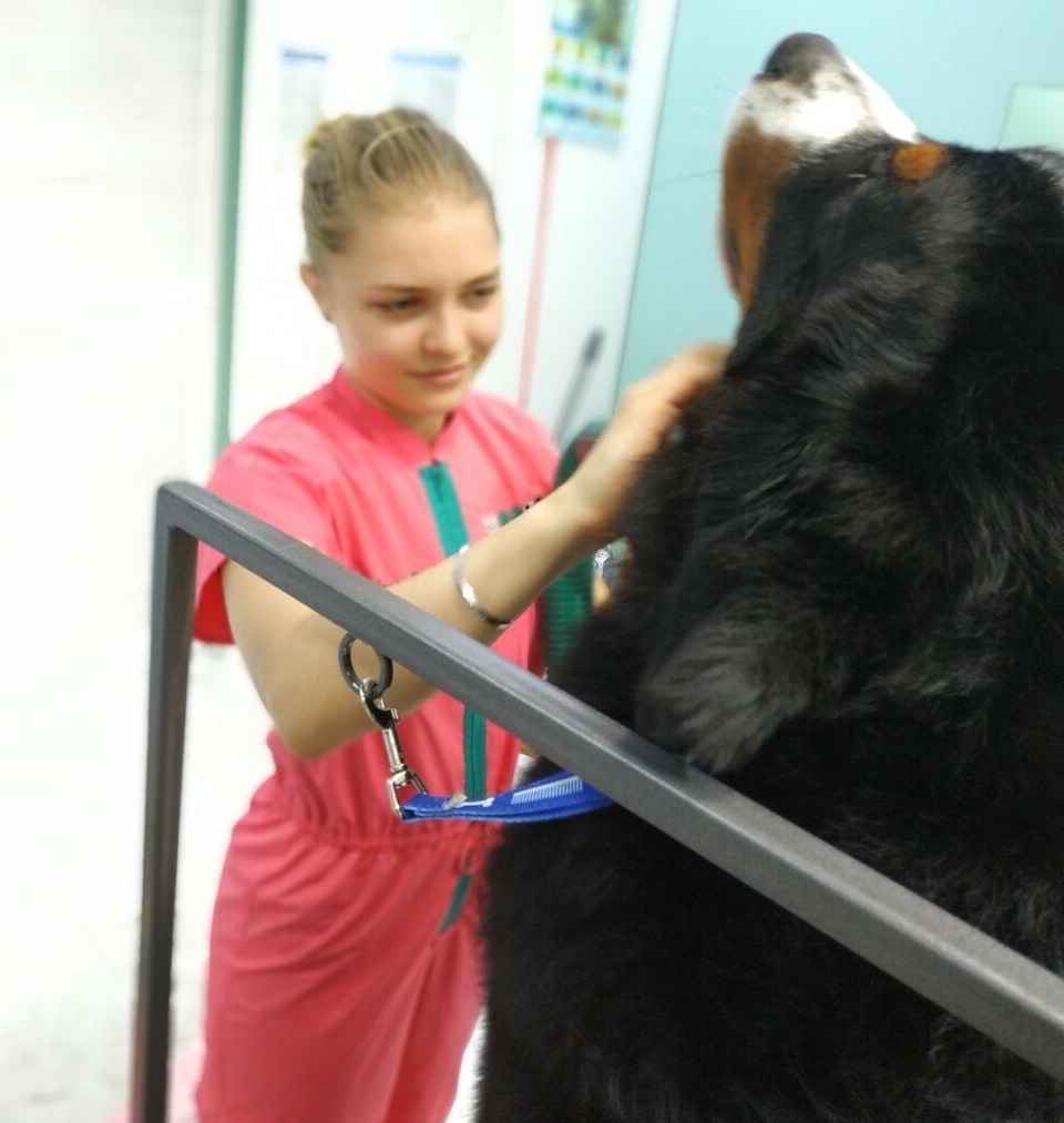 Профессиональный грумер в городе Полтава Марина в парикмахерской для животных Groomboom