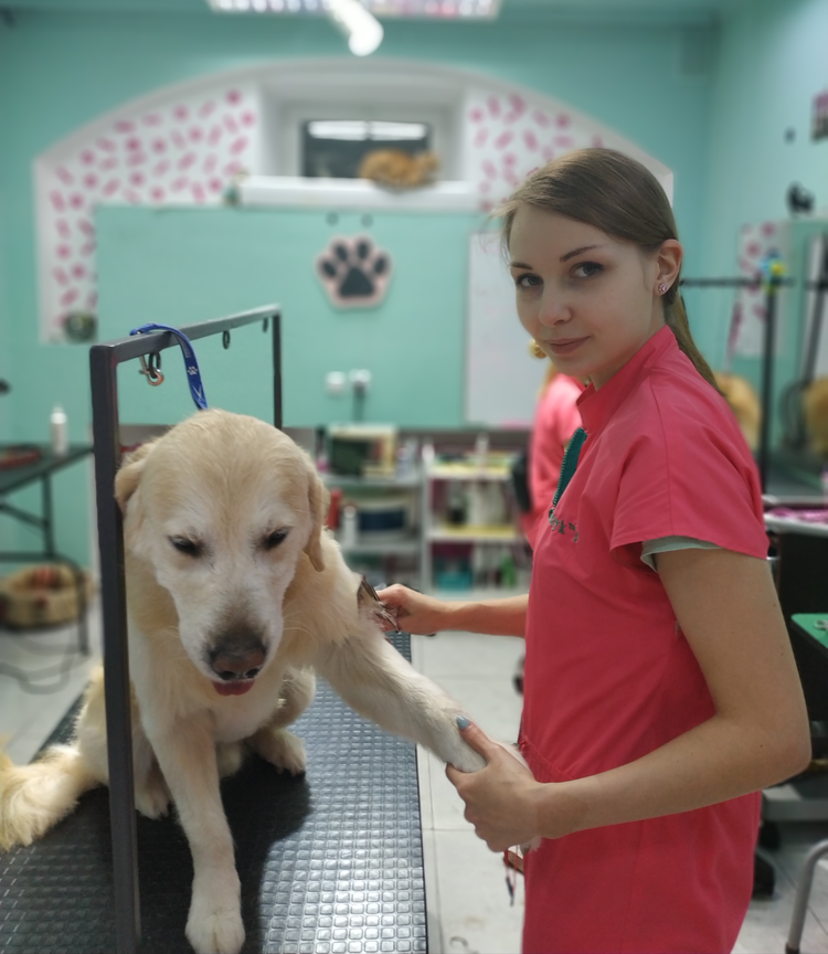 Профессиональный грумер в городе Полтава Марина в парикмахерской для животных Groomboom 